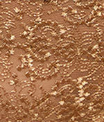 Cassiopee Brief