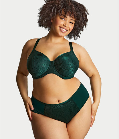 Illuminate Full Brief
