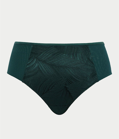 Illuminate Full Brief