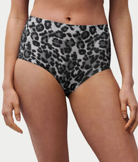 Grey Leopard