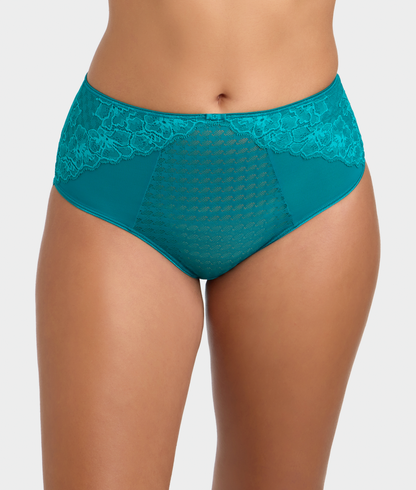 Envy Full Brief