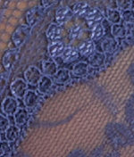 Lace Kiss Bikini