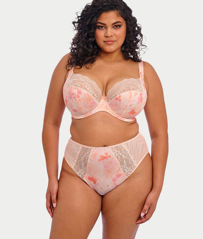 Lucie High Leg Brief