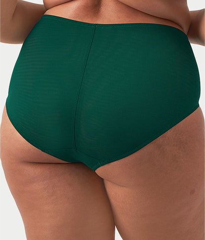 Brianna Full Brief