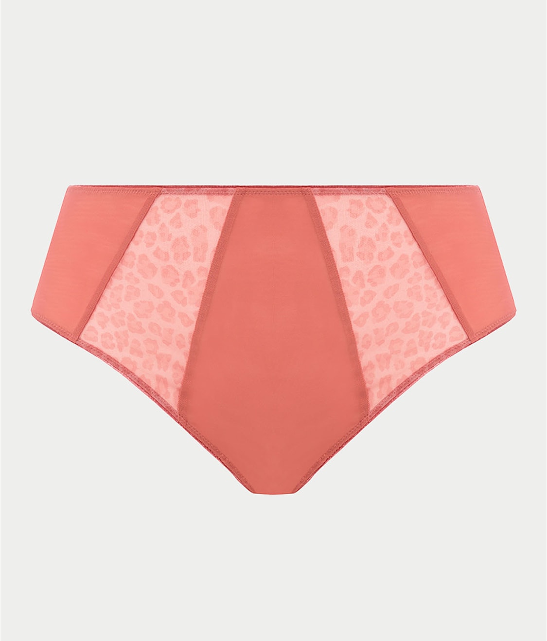 Matilda Full Brief