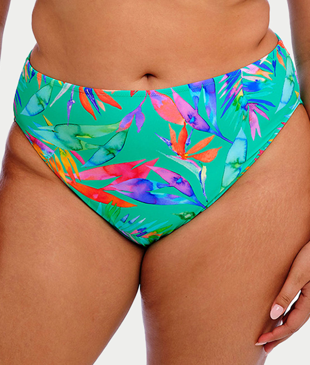 Plus Size Toyama Tides Mid Rise Bikini Bottom