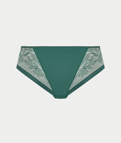 Illusion Brief
