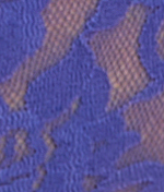 Signature Lace French Brief
