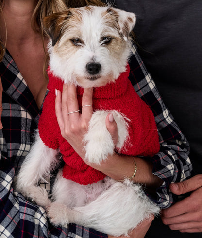 The Cozy Dog Sweater