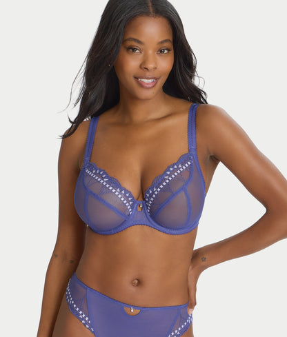 Loveland Plunge Bra