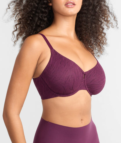 The Absolute Minimizer Bra