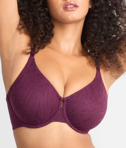 The Absolute Minimizer Bra