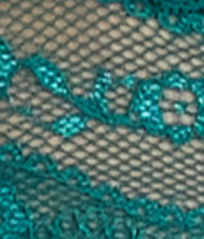 Lace Kiss Hi-Cut Brief