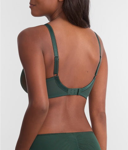 Loveland Plunge Bra