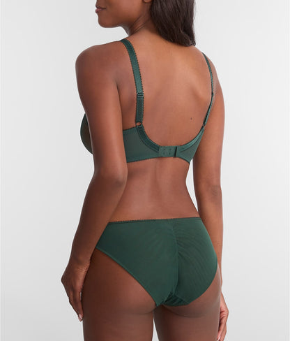Loveland Brief