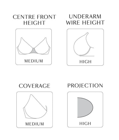 Muse Sheer Mesh Plunge Bra