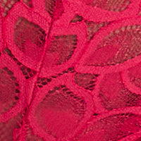 Allure Brief
