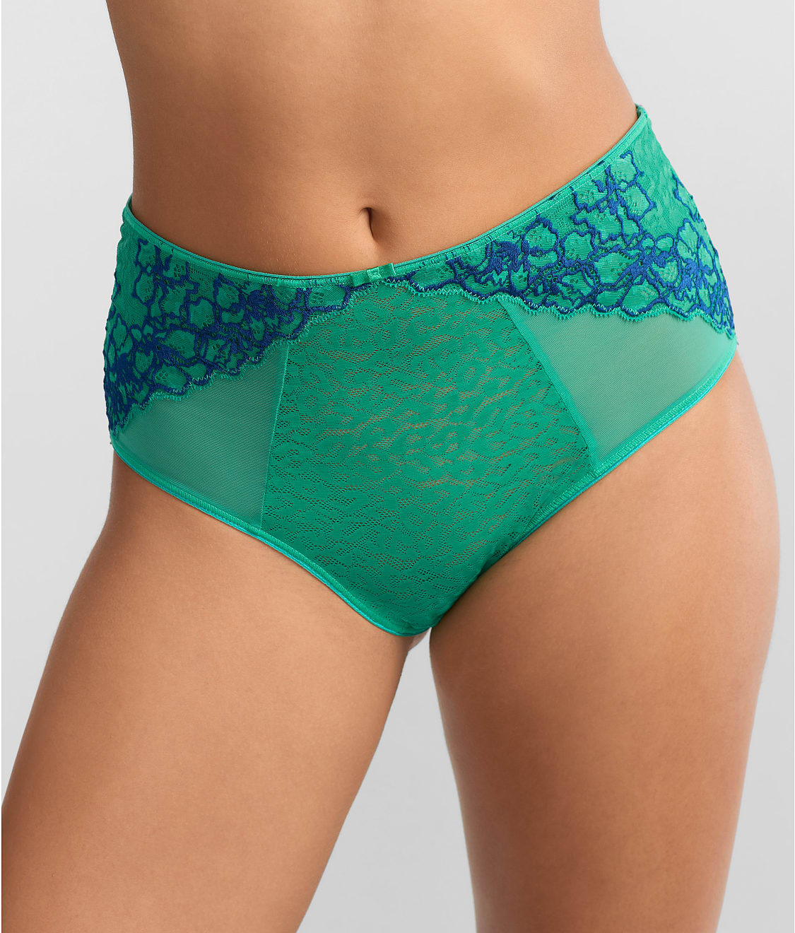 Envy Full Brief