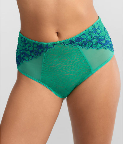 Envy Full Brief