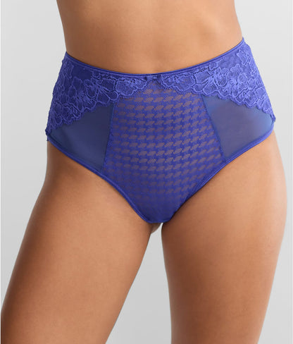 Envy Full Brief