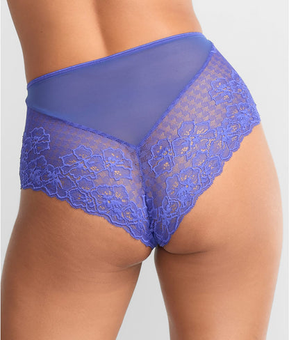 Envy Full Brief