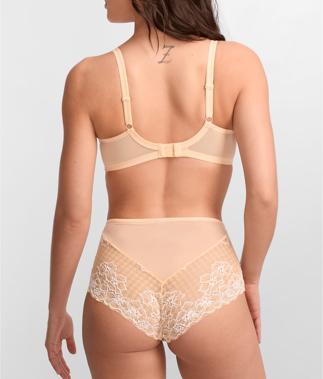 Envy Full Brief