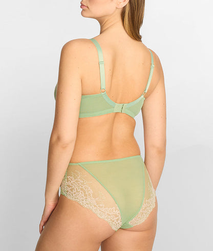 Ana Lacey Full Brief