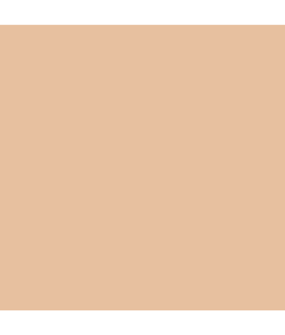 Jasmine Brief