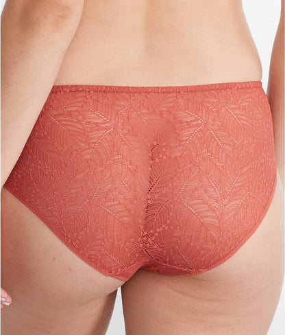 Comete Retro Brief