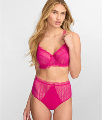 Hibiscus Pink