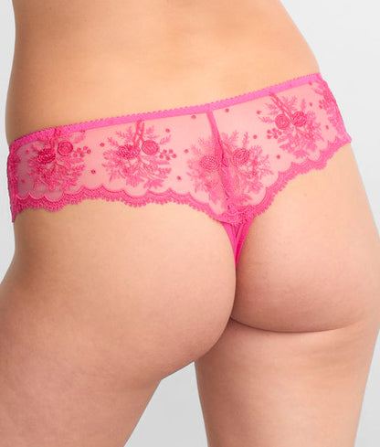 Intrigue Tanga