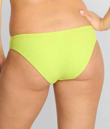 Pacifica Sandy Scoop Bikini Bottom