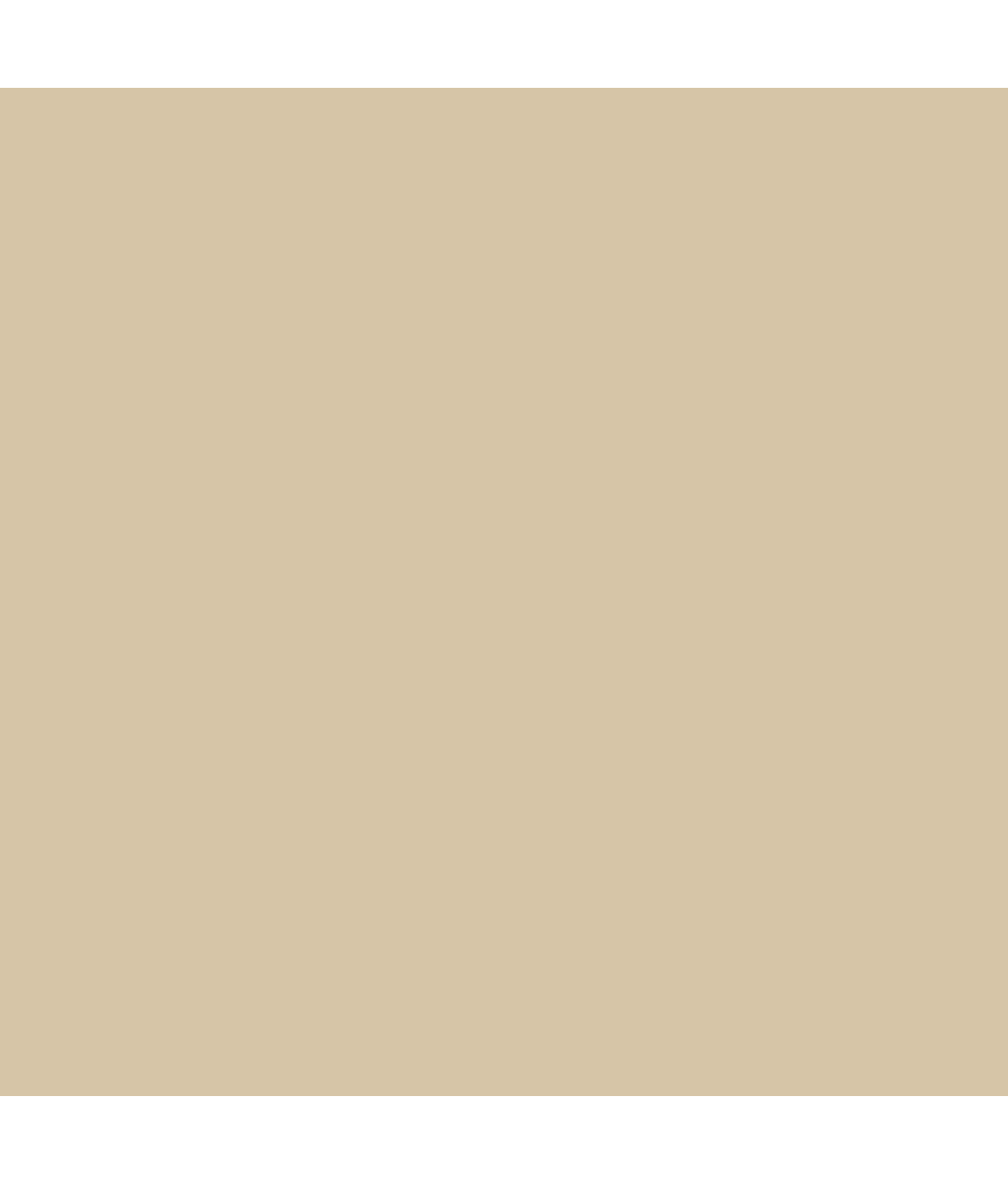Sleek Essentials Firm Control Convertible Slip