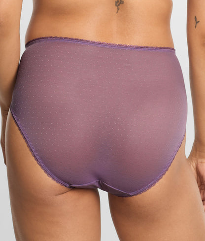 Retro Chic Hi-Cut Brief