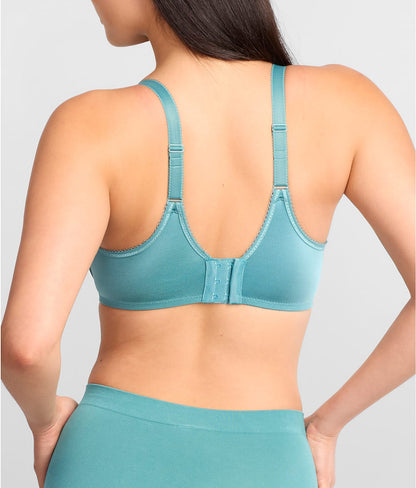 Basic Beauty Bra